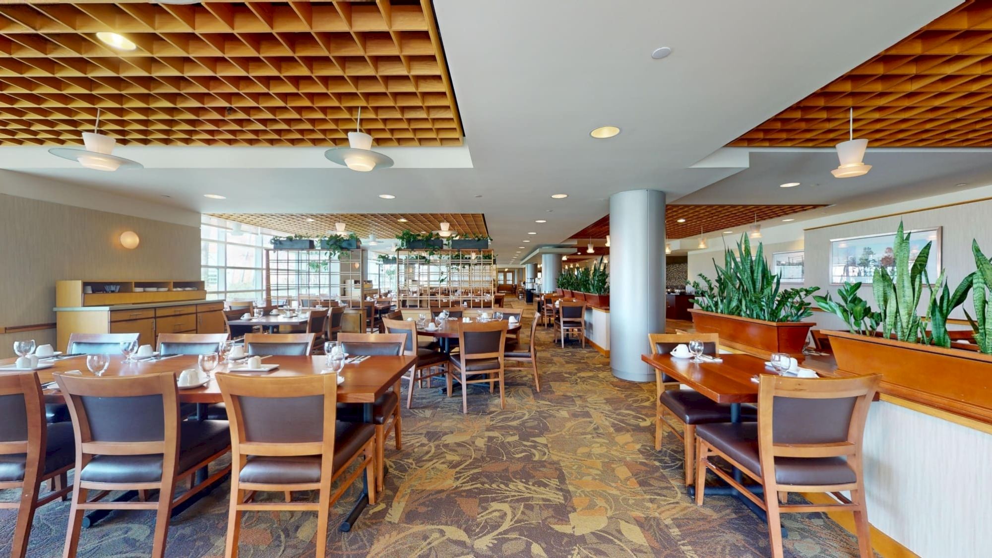A spacious, sunlit restaurant with wooden tables and chairs, plants along dividers, and a patterned carpet, all set for a meal.
