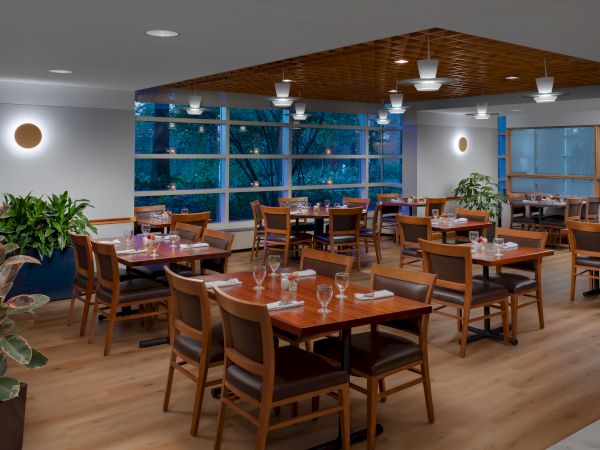 A bright, modern restaurant with wooden tables and chairs, large windows, plants, and place settings ready for guests, inviting and airy.