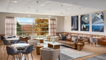 A modern, airy lounge with large windows, multiple seating areas, and cozy brown and gray chairs, coffee tables, and nature-themed wall art.