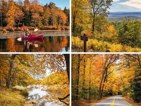 A collage of four autumn scenes: a lake with kayaks and boats, a hillside overlook, a calm stream winding through trees, and a golden forest road.