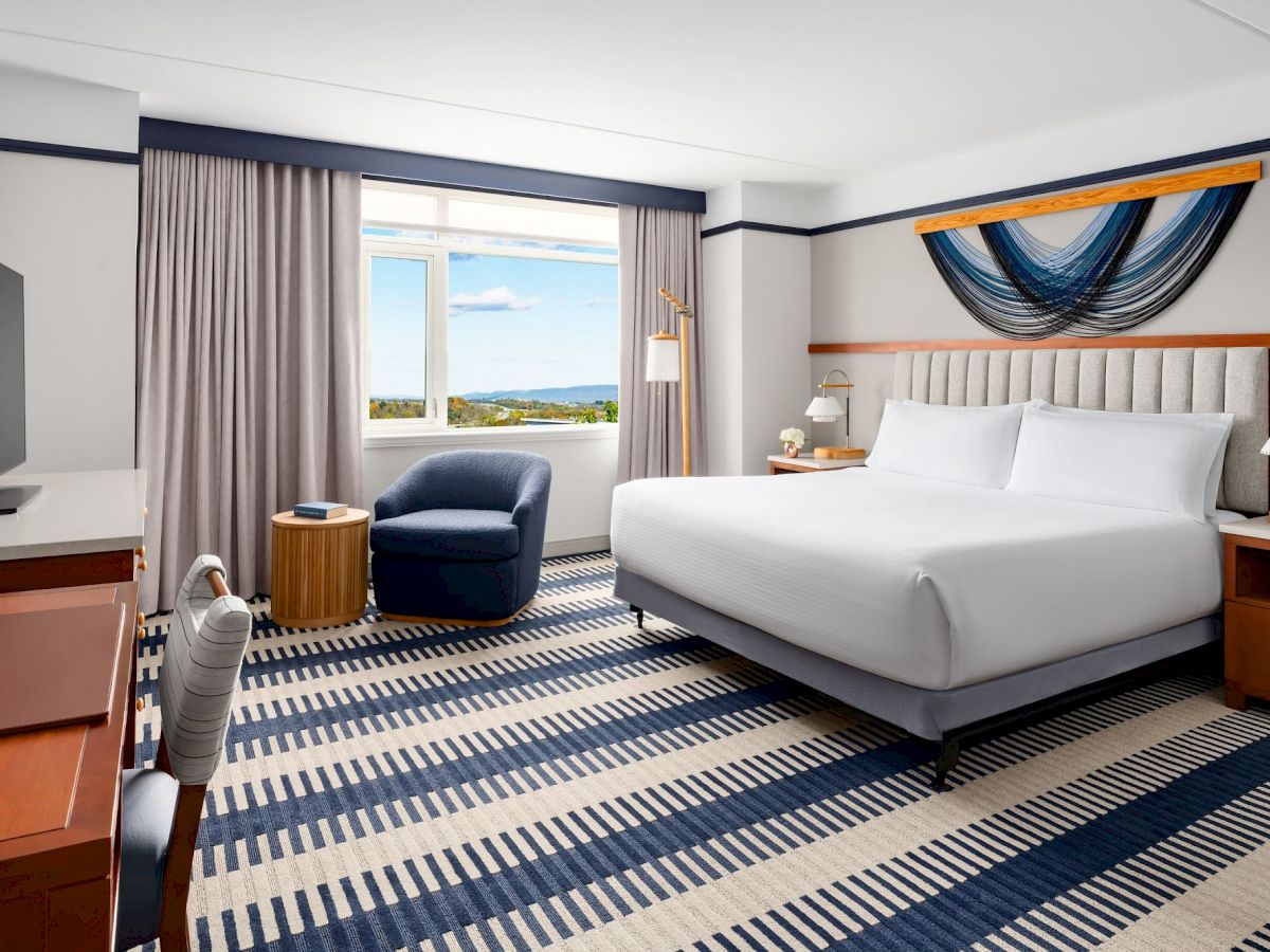 A hotel room with a large bed, two nightstands, a seating area by a window, a striped carpet, and a hammock-style wall decor. The room also has a desk, chair, TV, and lamps.